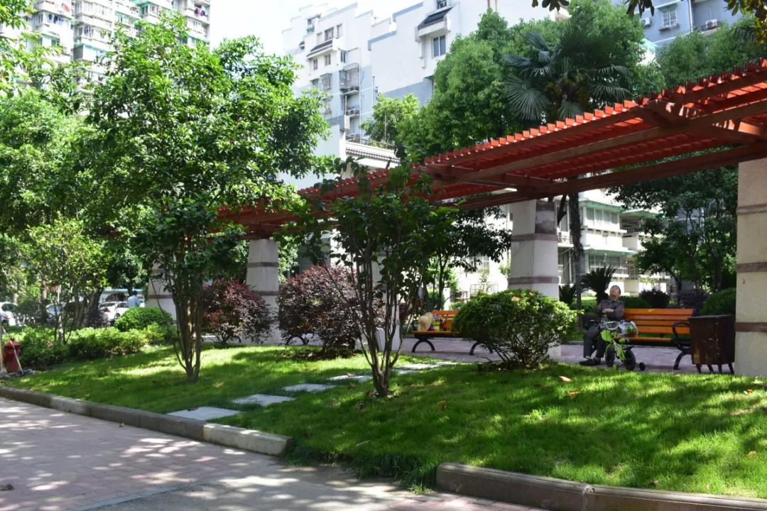 廊架改造后.jpg 图片关键词