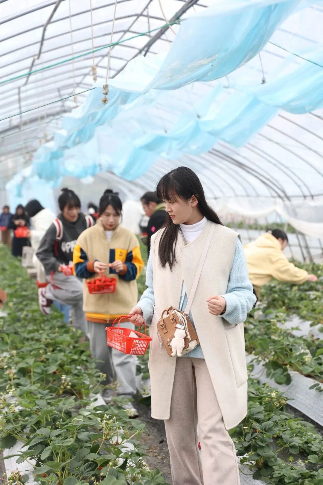 图片关键词 图片关键词